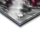 The Darkness Dwells Within Acrylic print