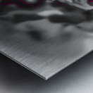 The Darkness Dwells Within Metal print