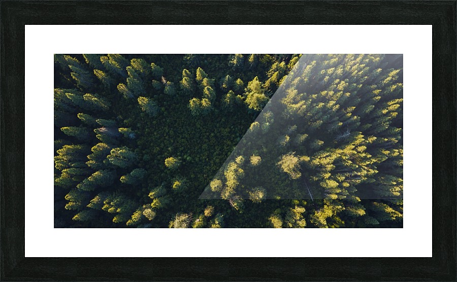 la percee Picture Frame print