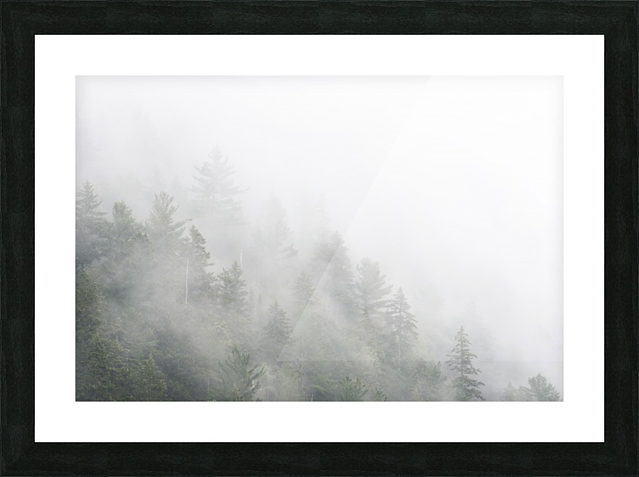 Le mystere Picture Frame print