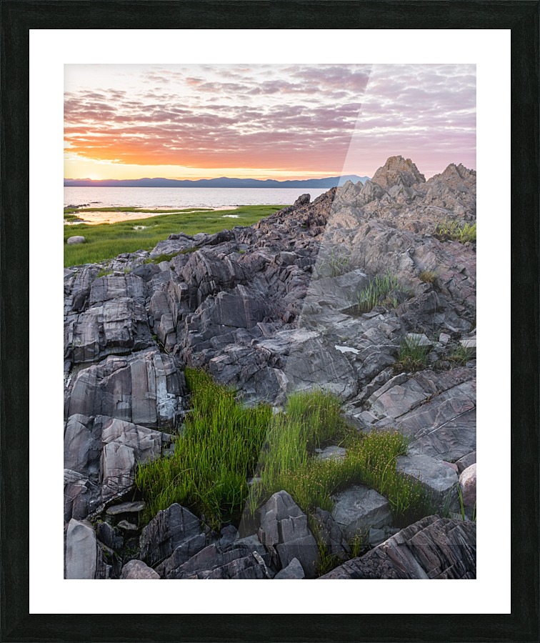 Ciboulette Picture Frame print