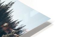 Arbre de dentelle HD Metal print