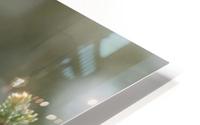 Lexploratrice HD Metal print
