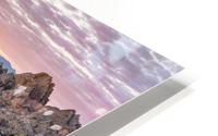 Ciboulette HD Metal print