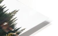 Le vaillant HD Metal print