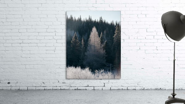 Arbre de dentelle Wall Preview