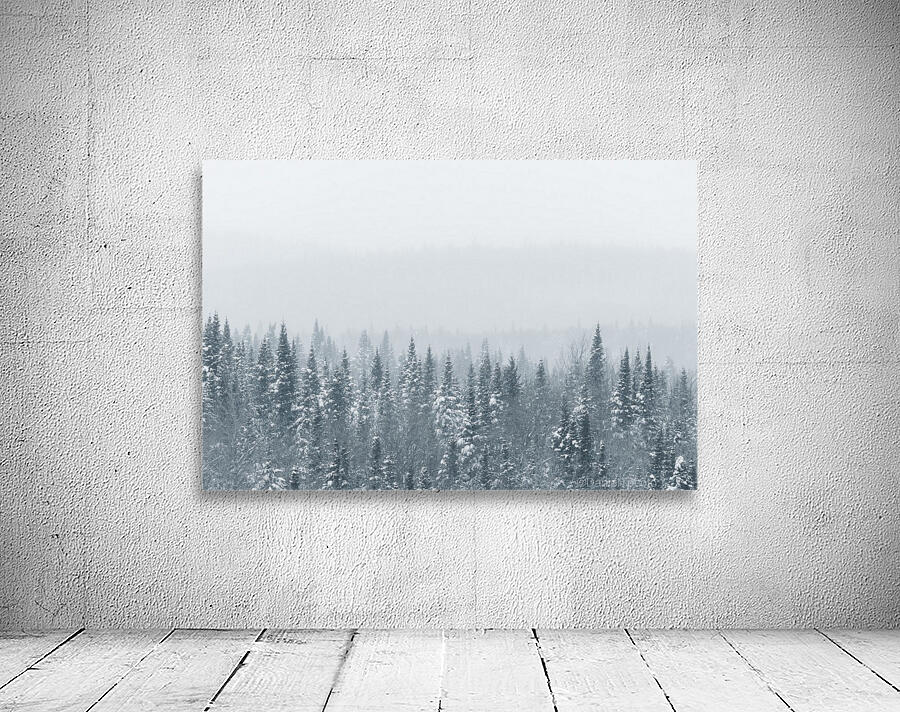Perspective Wall Preview