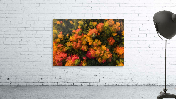 lautomne Wall Preview