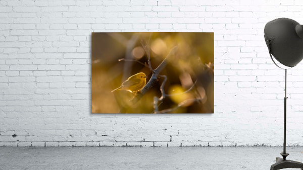 La petite jaune Wall Preview