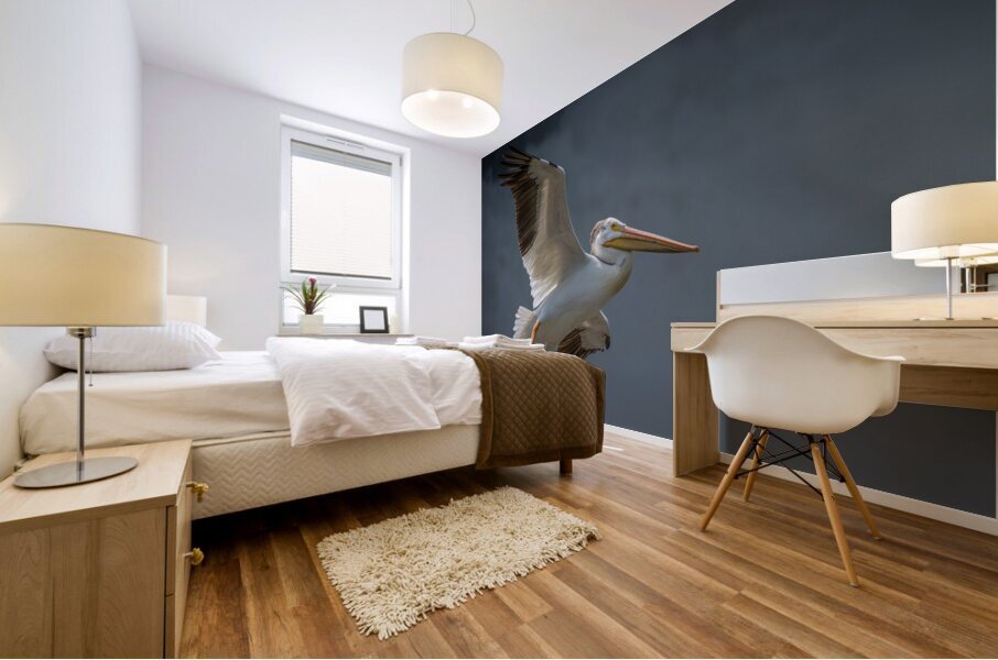 Pelican in Flight Mural print