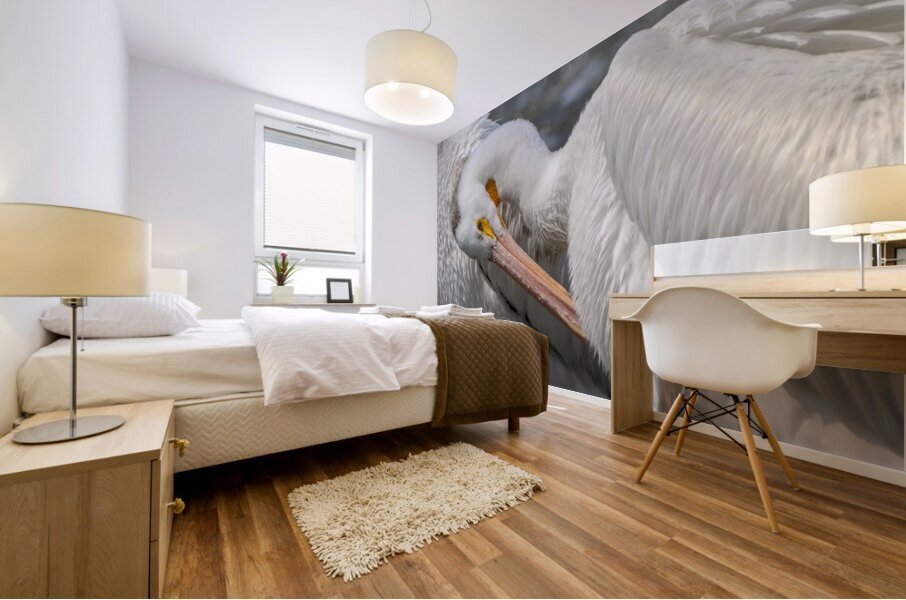 Pelican Preening Mural print