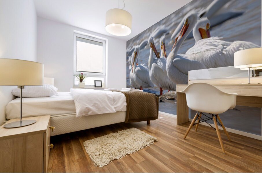Pelican Pod Mural print