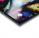 Expansion Of Everything Acrylic print