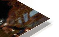Stoccato 3 HD Metal print
