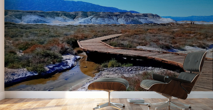 Death Valley National Park - Wooden Walkway by Marco Menezes Wall Art