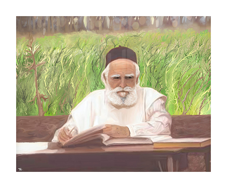 reb moshe feinstein Picture Frame print