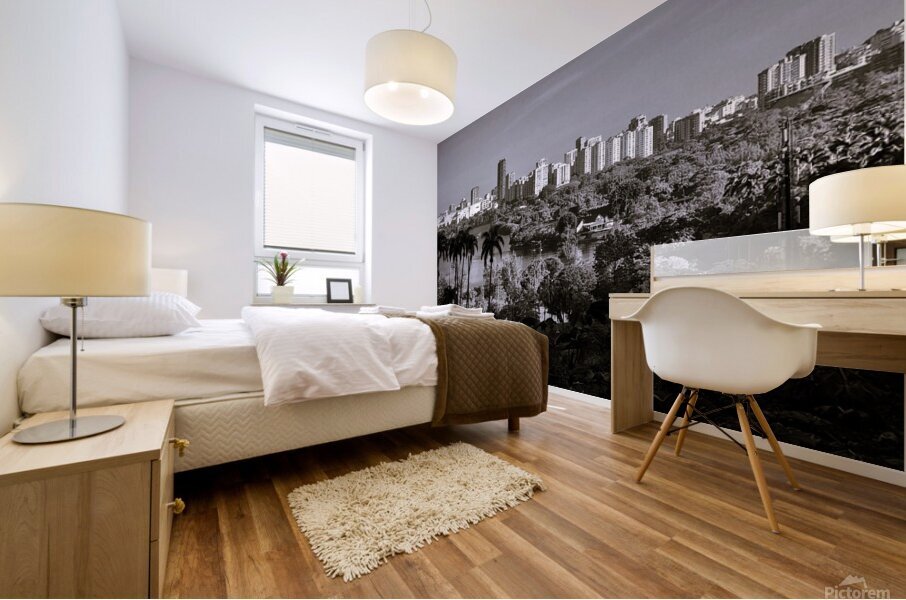 Leblon Mural print