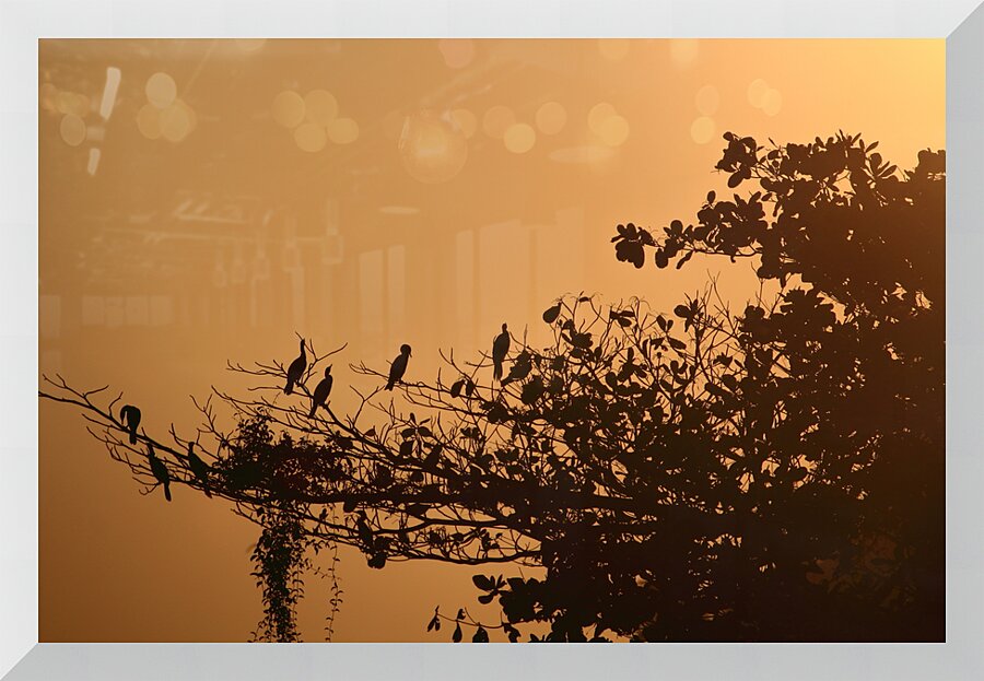Sunset Picture Frame print