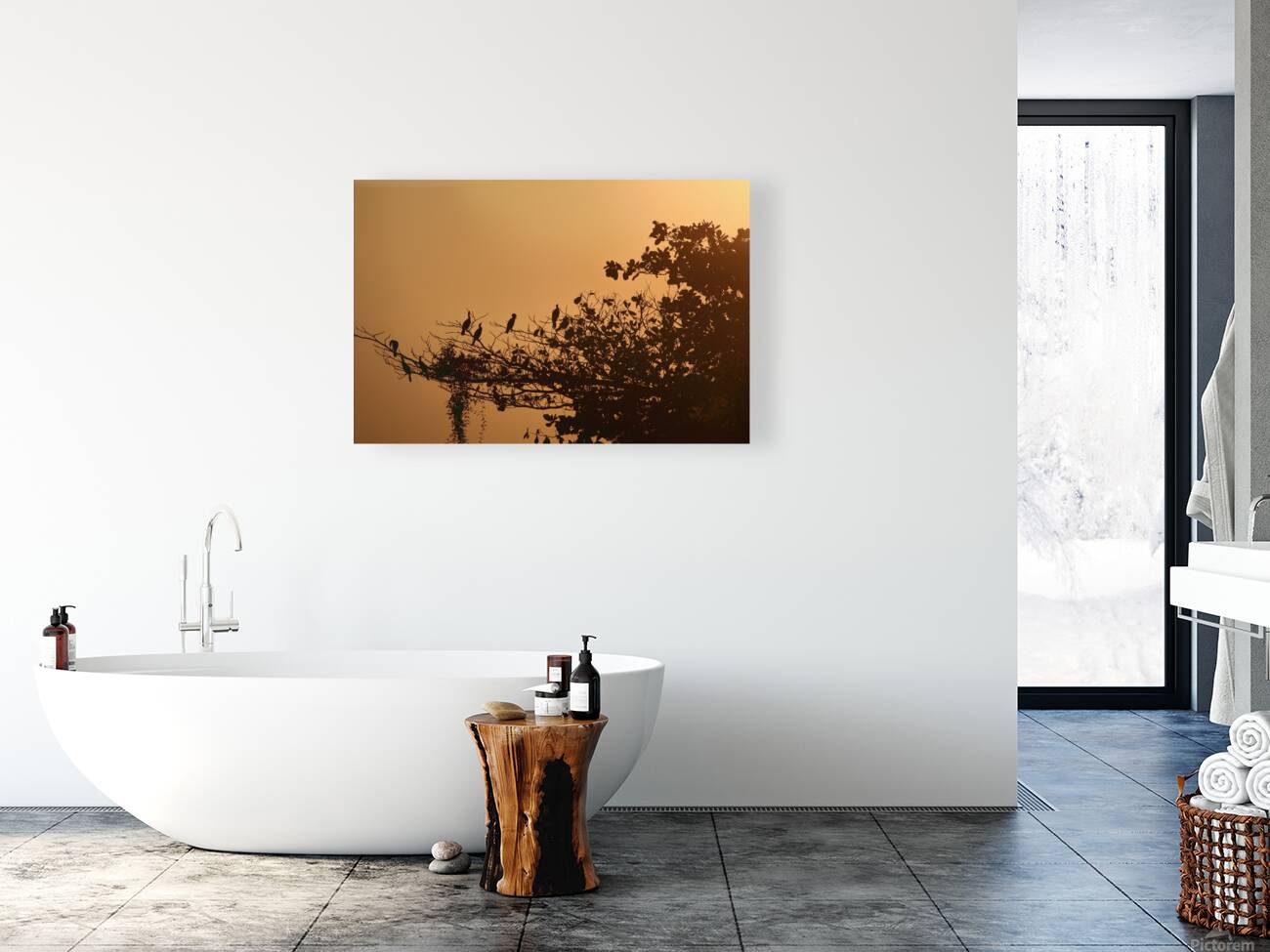 Sunset Reproduction