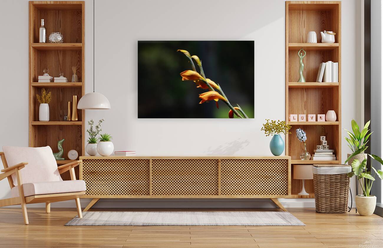 Orange Reproduction