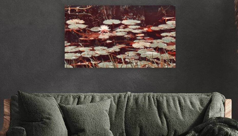 Nymphaea   3 Reproduction