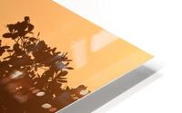 Sunset HD Metal print