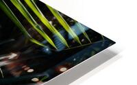 Palm lines 5 HD Metal print
