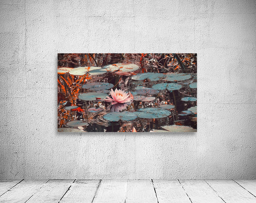 Nymphaea   2 Wall Preview