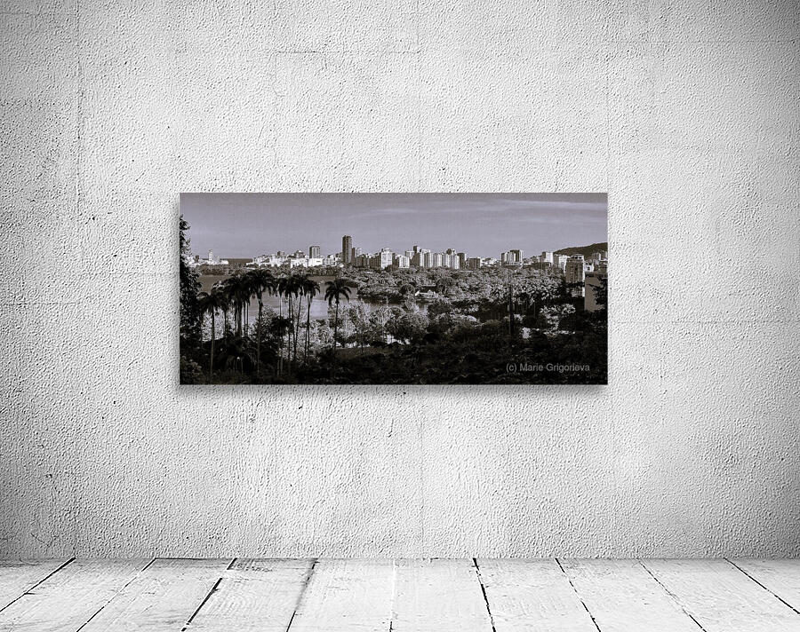 Leblon Wall Preview