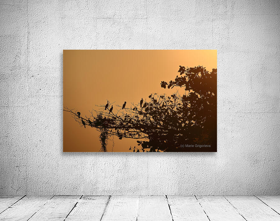 Sunset Wall Preview