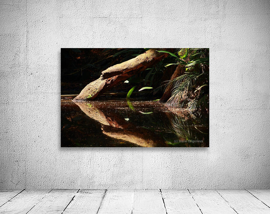 Reflection in the lake Wall Preview