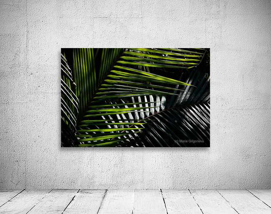 Palm lines 5 Wall Preview
