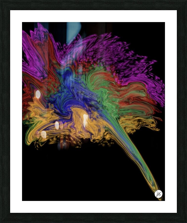 Fusion Picture Frame print