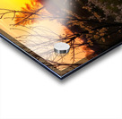  Stunning mural depicting a serene sunset over a vibrant field adorned with trees and blooming flowers. Acrylic print