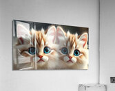  Two Enchanting Cats With Striking Blue eyes Acrylic Print