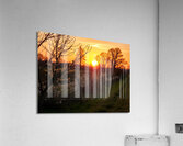  Stunning mural depicting a serene sunset over a vibrant field adorned with trees and blooming flowers. Acrylic Print