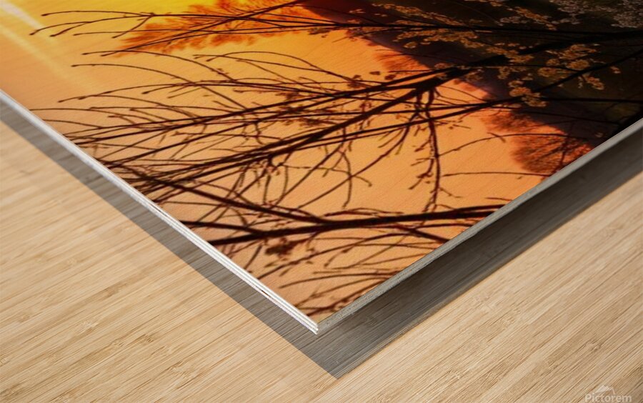  Stunning mural depicting a serene sunset over a vibrant field adorned with trees and blooming flowers. Wood print