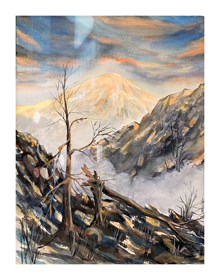 Mighty Mount Cook Picture Frame print