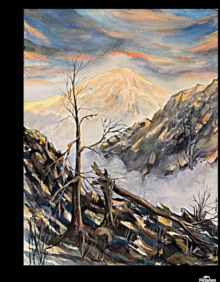 Mighty Mount Cook Reproduction