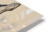 Whale HD Metal print