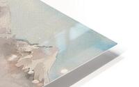 Winter Park HD Metal print