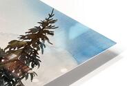 Lead me there HD Metal print
