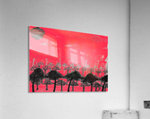 Trees vs sun red Acrylic Print