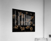 Flowers Acrylic Print