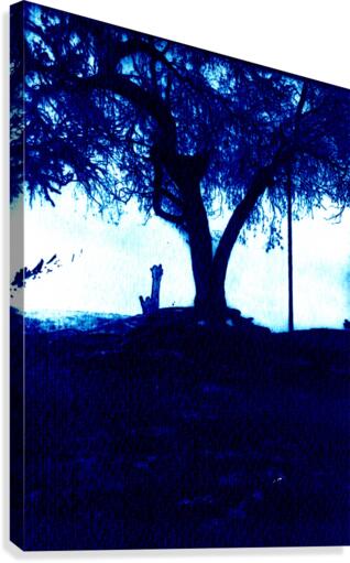 Blue and lonely tree Canvas Print