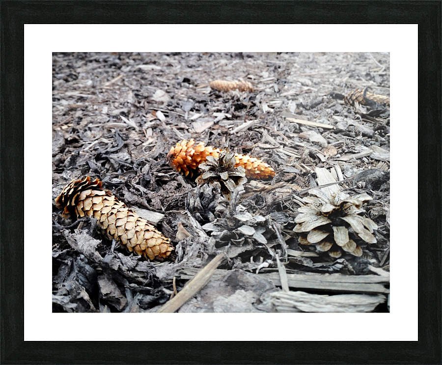 Seeds after winter Picture Frame print