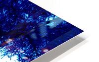 Blue and lonely tree HD Metal print