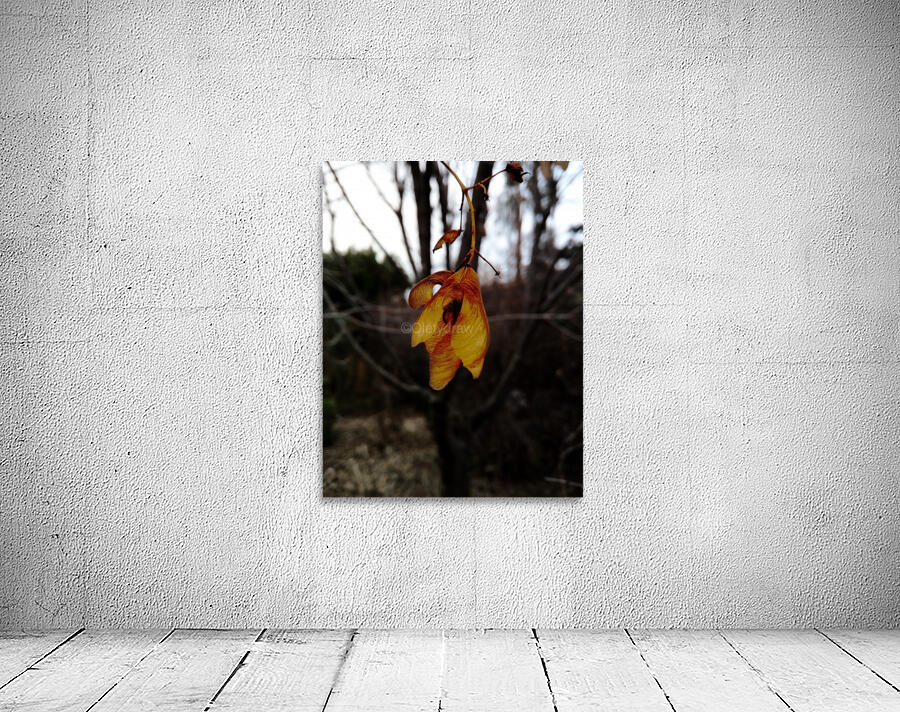 Last leaves Wall Preview