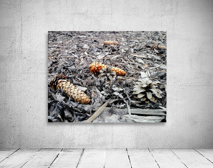 Seeds after winter Wall Preview
