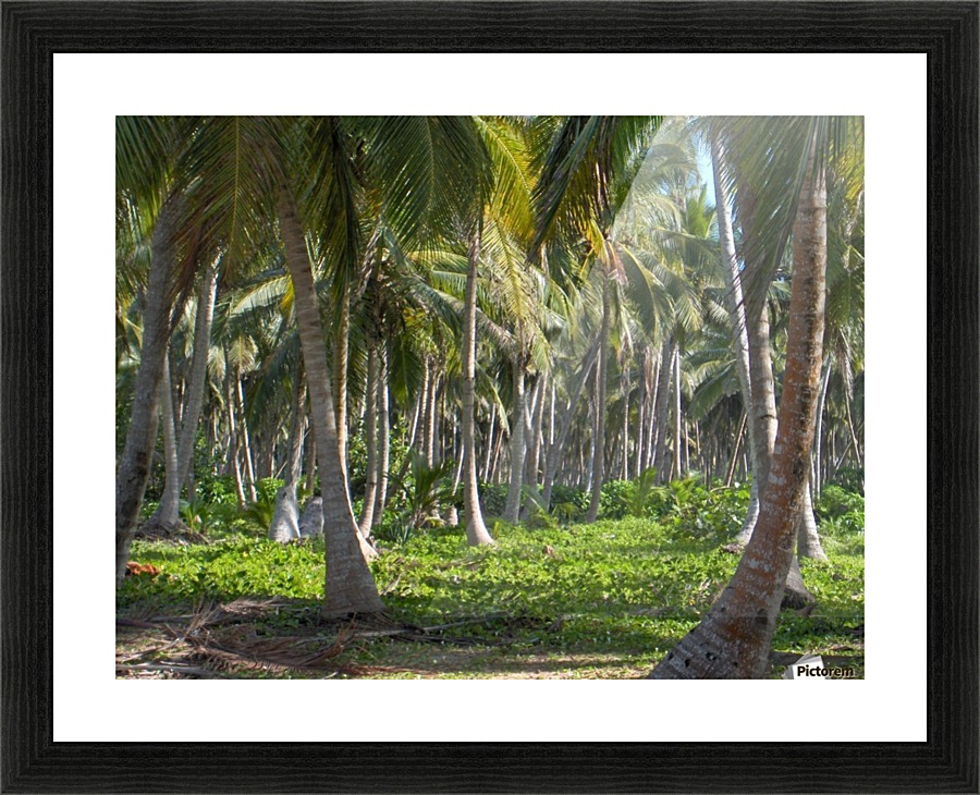 Beach Picture Frame print